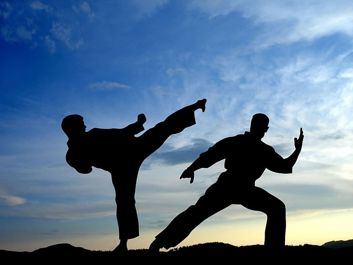 Karate & Self Defence Classes Education Institute in india